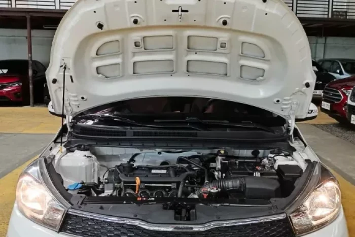 Used 1
                    KIA
                     for Sale Image